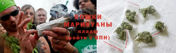 прущие грибы Абдулино