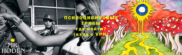 спайс Абинск