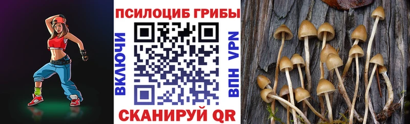 Псилоцибиновые грибы GOLDEN TEACHER  omg tor  Богданович 